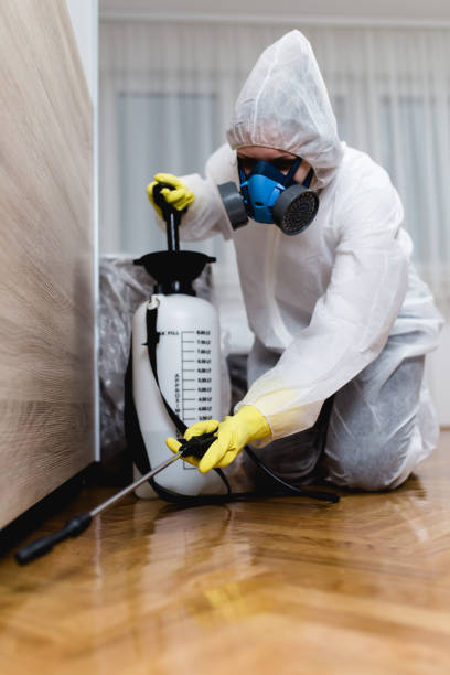 Best Indoor Pest Control  in Ashaway, RI